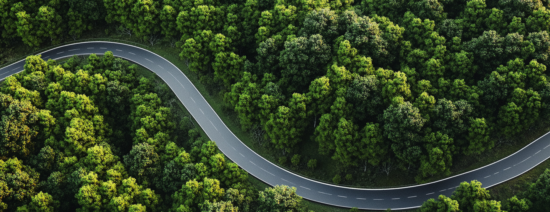 尊龙官方网站首页-(集团)有限公司